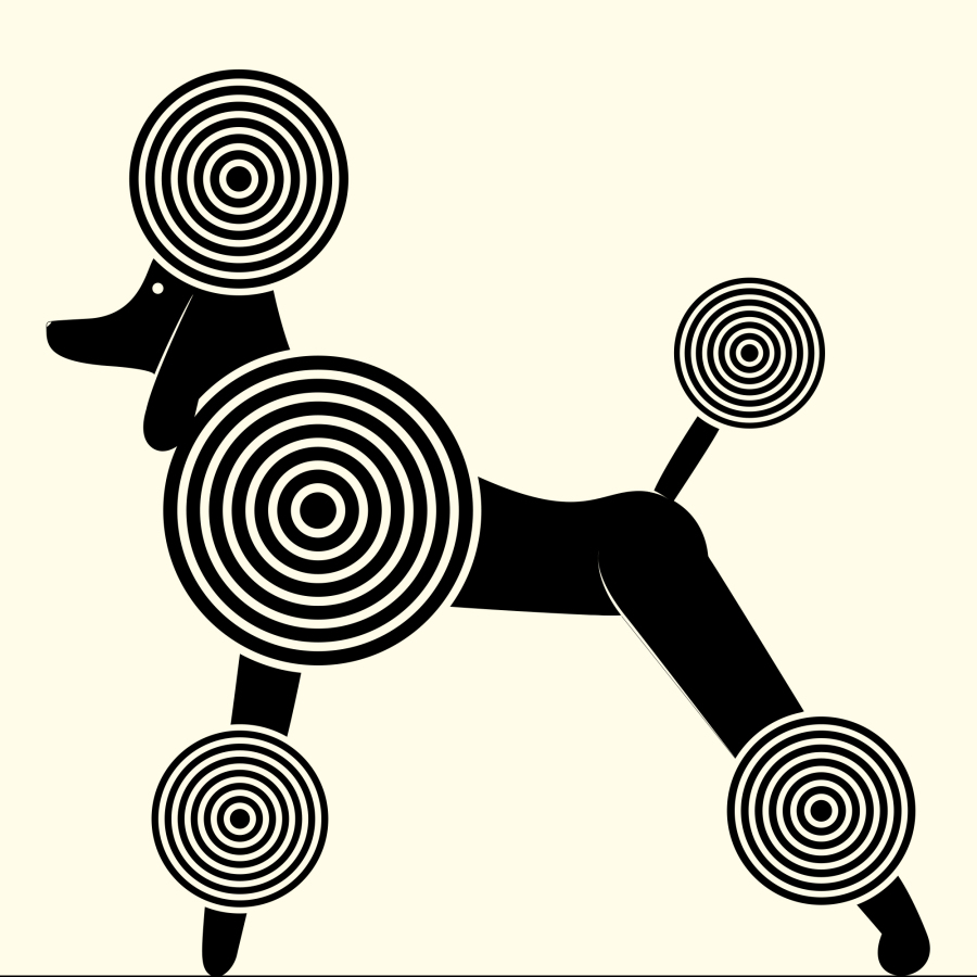 DADA DOG